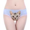 The Pussy